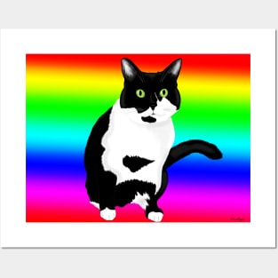 Black and white kitty on rainbow Posters and Art